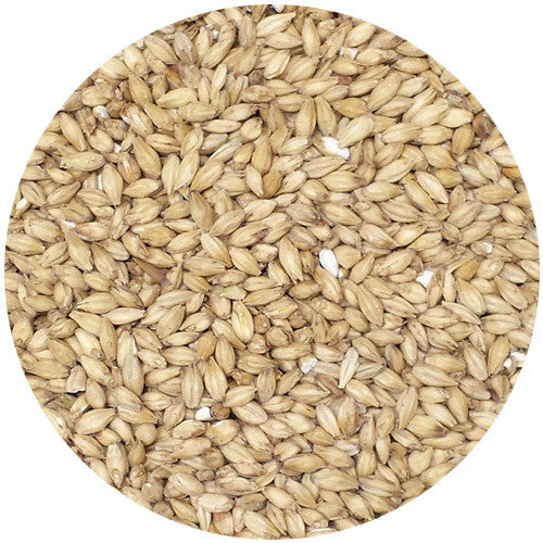 Avangard 6 Row Malt 2L