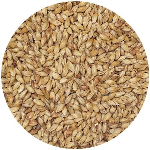 Briess Caramel 30L Malt