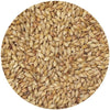 Briess Caramel 30L Malt