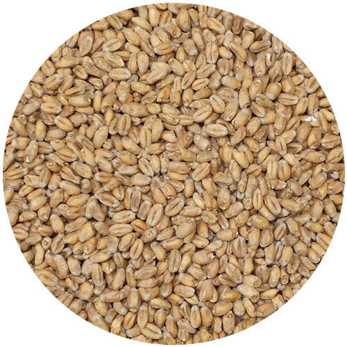 Avangard Wheat Malt 2.5L