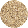 Avangard Pilsen Malt 1.5L - 55 lb Bag