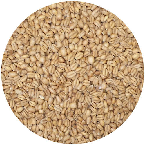 Briess Torrified Wheat 1.5L