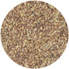 Briess Victory Malt 28L