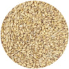 Briess Pale Ale Malt 3.5L - 50 lb Bag