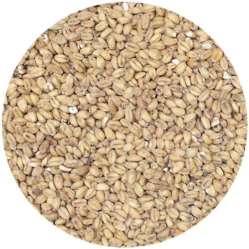 Briess White Wheat Malt 2.5L