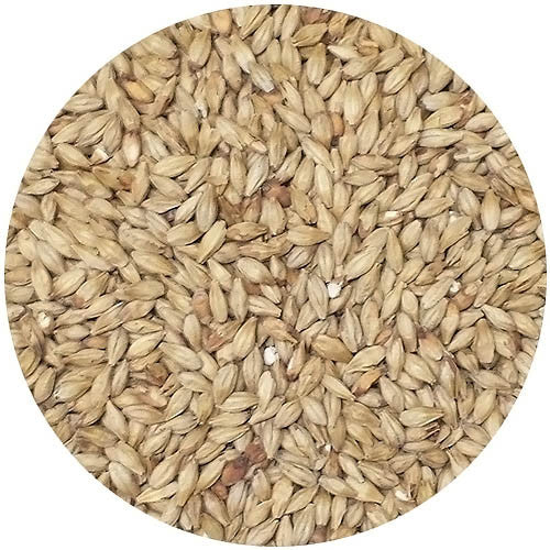 Briess Aromatic Malt 20L