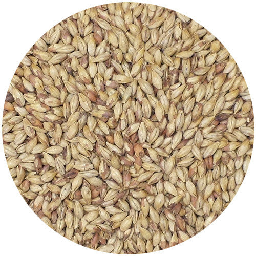 Dingemans Biscuit Malt 23L