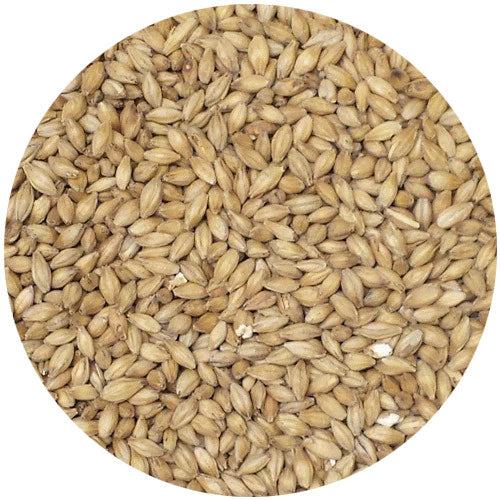 Warminster Floor Malted Low Color Maris Otter Malt 1.9L