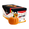 Pumpkin Spice Porter Kit - Brewer's Best (Seasonal)