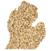 Great Lakes Malting Munich Malt 7.0L