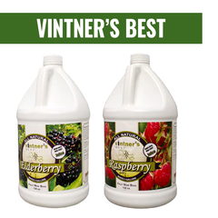 Vintner's Best Fruit Base
