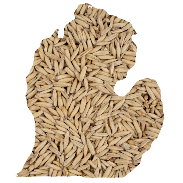 Great Lakes Malting Malted Oats