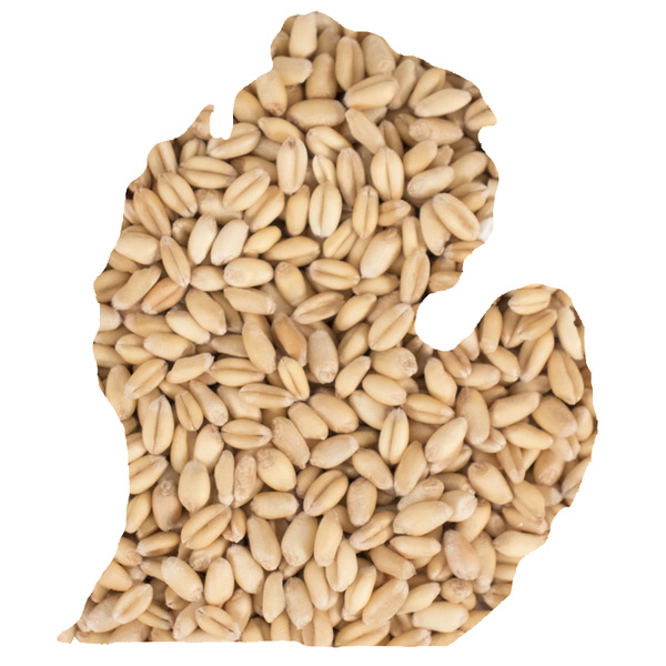 Great Lakes Malting Raw Wheat (Unmalted)