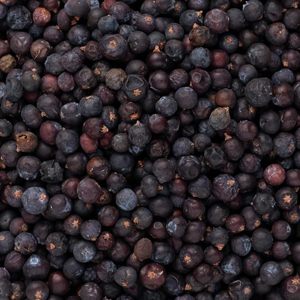 Organic Juniper Berries