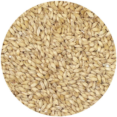 Avangard 2 Row Pale Malt 2.0L