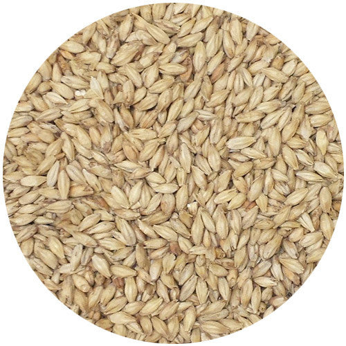 Briess Ashburne Mild Malt 5.3L