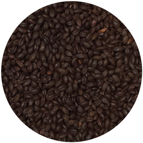 Briess Blackprinz Malt (Debittered) 500L