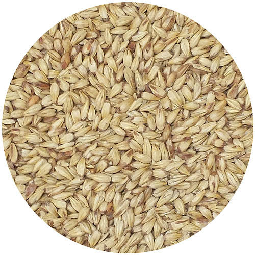 Briess Caramel 10L Malt