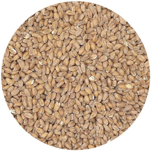 Briess Red Wheat Malt 2.3L
