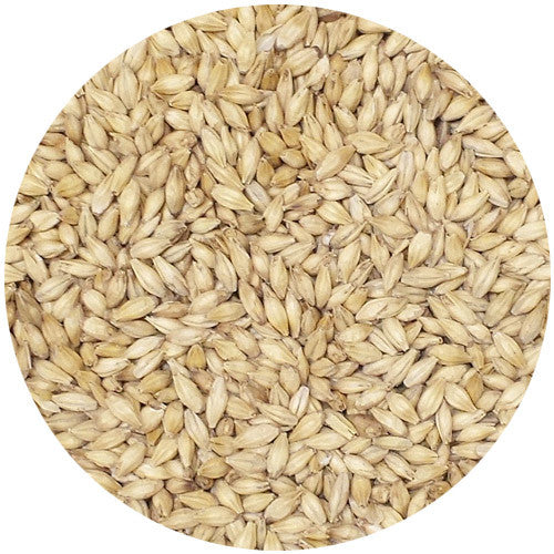 Briess Pilsen Malt 1L