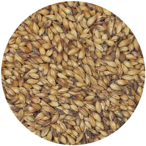 Briess Extra Special Malt 130L