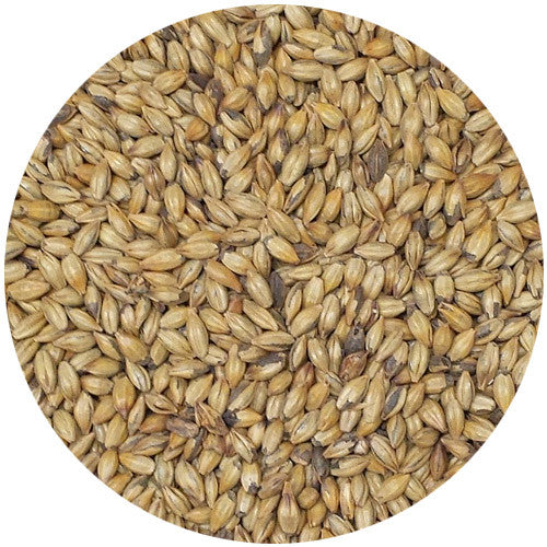 Crisp Amber Malt 30L