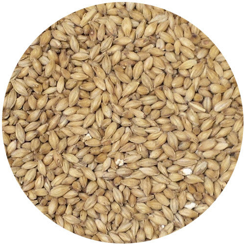 Simpsons Golden Promise Malt 2.5L