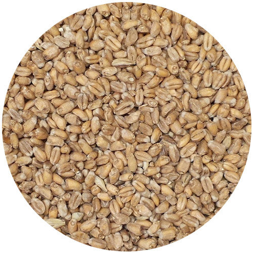Weyermann Oak Smoked Wheat Malt 2.5L
