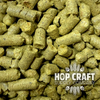 Hops for homebrewing homebrew german solero hops