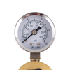 Dual Gauge Oxygen Regulator for Disposable Tanks